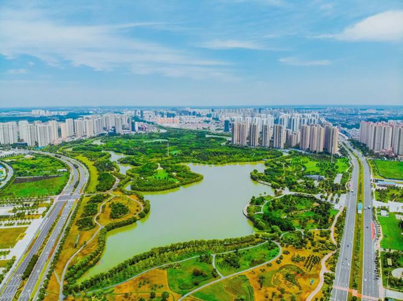 软件定制开发：打造专属您的企业利器